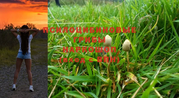 ALPHA-PVP Богородск